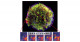ティコの超新星残骸で増光する構造を発見―加熱過程をリアルタイムで捉える―