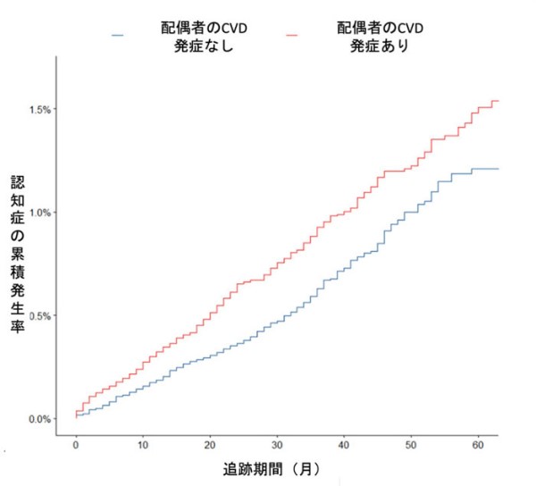 配偶者の心血管疾患と本人の認知症の関係が明らかに