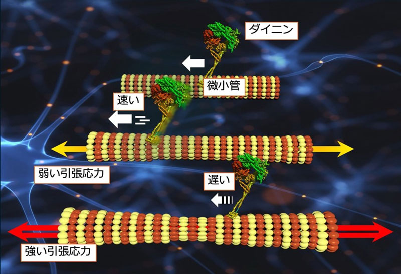 文章を入れてください