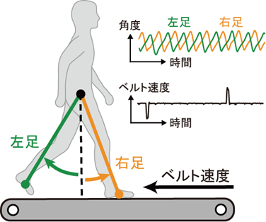 文章を入れてください