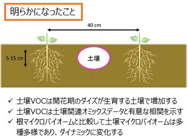 文章を入れてください