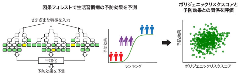 ポリジェニックリスクスコア×機械学習で紐解く生活習慣病の遺伝的リスクと予防効果との関係