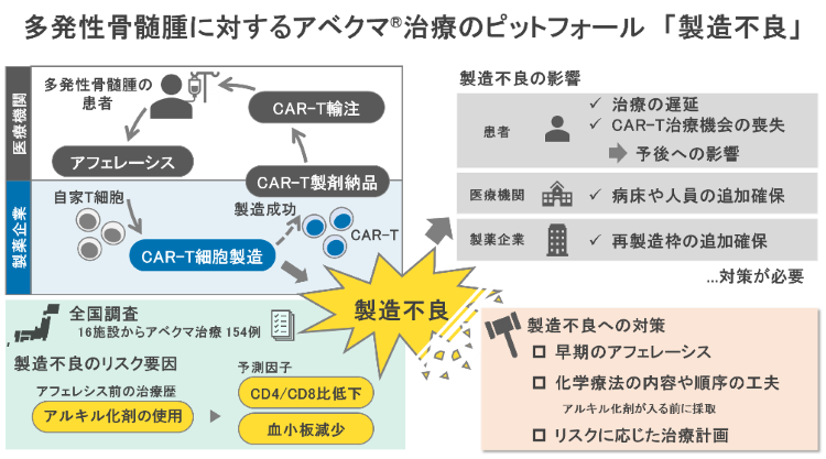 CAR-T細胞療法におけるピットフォール～多発性骨髄腫に対するアベクマの製造不良に関する実態調査～