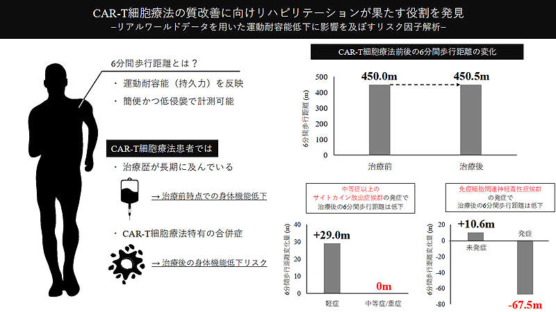 CAR-T細胞療法の質改善に向けリハビリテーションが果たす役割を発見～リアルワールドデータを用いた運動耐容能低下に影響を及ぼすリスク因子解析～