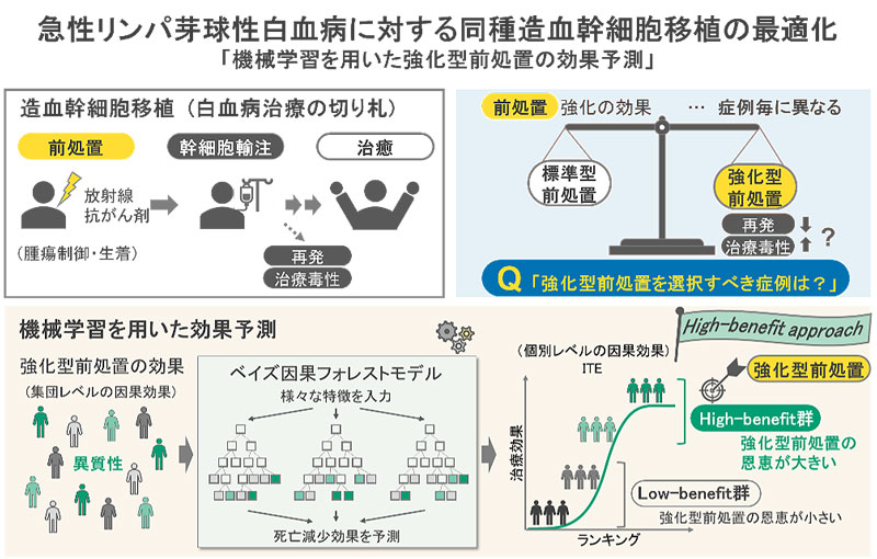 人工知能を用いた造血幹細胞移植の最適化～急性リンパ芽球性白血病に対する強化型前処置の効果予測～