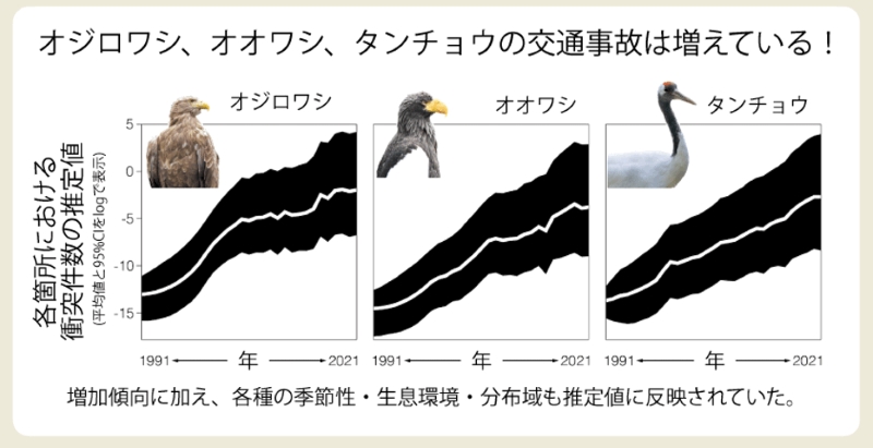 希少鳥類の交通事故発生パターンの推定～長期データと状態空間モデルを用いた解析～