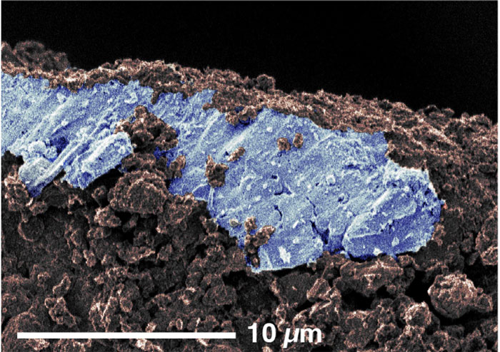 小惑星リュウグウの砂つぶに発見された塩の結晶～太陽系の海洋天体とのつながりを知る新たな手がかり～