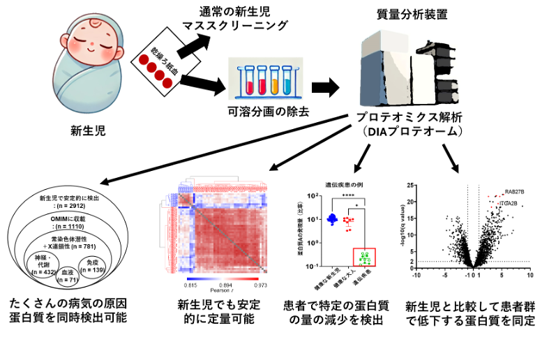 原発性免疫不全症の新生児期診断の実現へ～多数の遺伝性疾患を対象とした網羅的ろ紙血プロテオーム検査法の開発～
