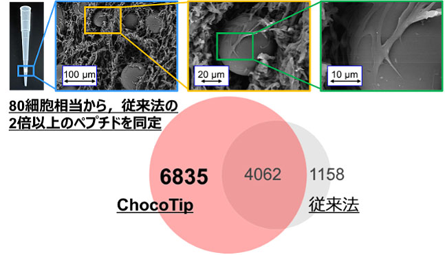 極微量ペプチド用ピペットチップ型カラム「ChocoTip」の開発～臨床プロテオミクスや単一細胞解析を支える新たな前処理技術～