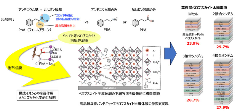 スズを含むペロブスカイト半導体の界面構造制御法の開発とメカニズム解明 〜高性能多接合（タンデム）型太陽電池の実現〜