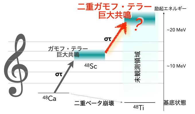 文章を入れてください