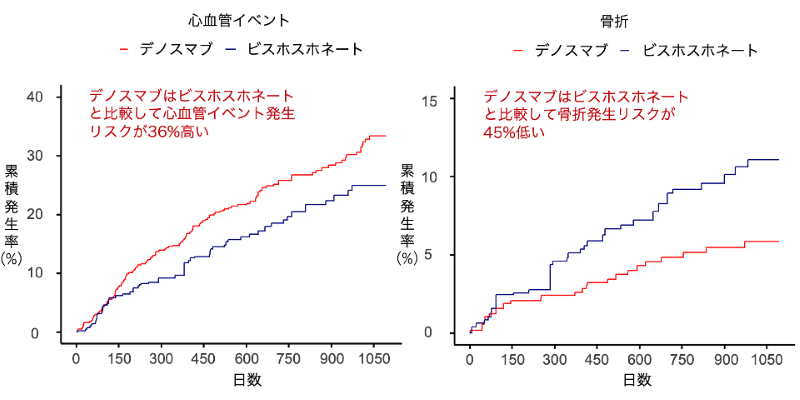 透析患者における骨粗鬆症治療薬の比較研究～デノスマブは骨折リスク低減も、心血管リスク増加の懸念～