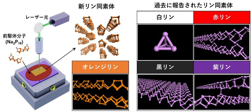 文章を入れてください