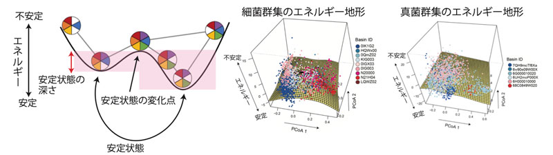 文章を入れてください