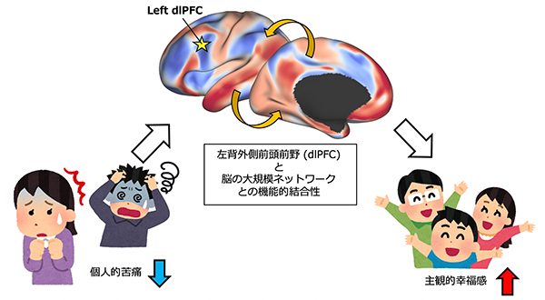 幸福感と共感性を関連付ける安静時脳機能ネットワークの解明～前頭前皮質の機能的結合性の役割～