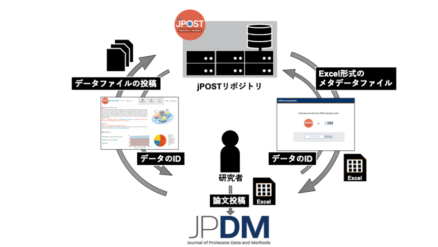 データジャーナルとの連携でデータ解析の自動化へ～開発10年目を迎えたプロテオーム統合データベースjPOSTでの世界初の試み～