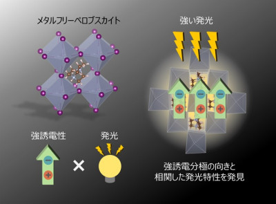 メタルフリーペロブスカイト物質が示す強誘電性と可視光発光の協奏～多機能デバイスへの応用に期待～