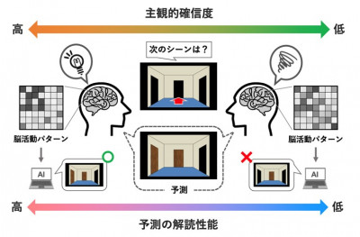 迷路を探索する際の予測および確信度を脳活動から解読