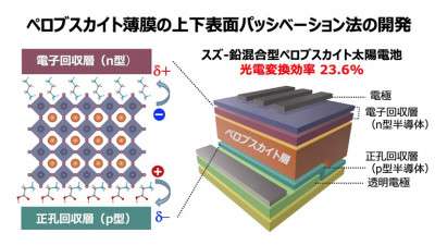 スズを含むペロブスカイト太陽電池：23.6%の世界最高効率を達成~ペロブスカイト薄膜の上下表面構造修飾法を開発~