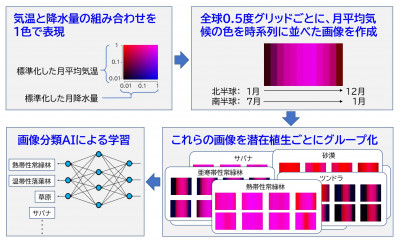 画像分類AIを用いた潜在植生を予測する新手法を開発