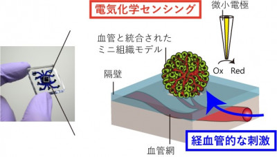 文章を入れてください