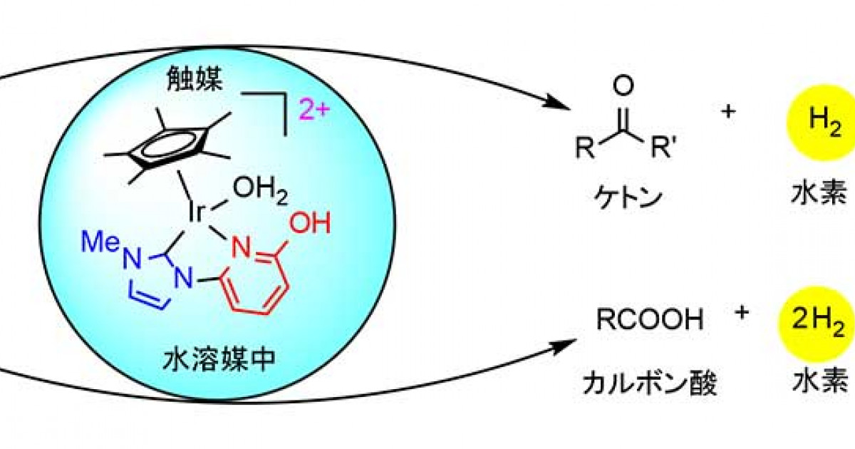 アルコールの脱水素的酸化を効率的に進行させる新規触媒を開発 京都大学