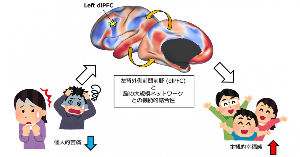 幸福感と共感性を関連付ける安静時脳機能ネットワークの解明 －前頭前