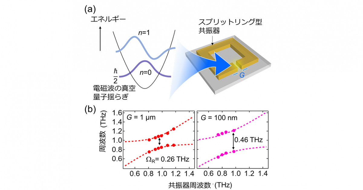 テラヘルツ周波数帯の真空量子揺らぎと格子振動の超強結合状態の実現