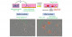 T-cells with a license to kill viruses